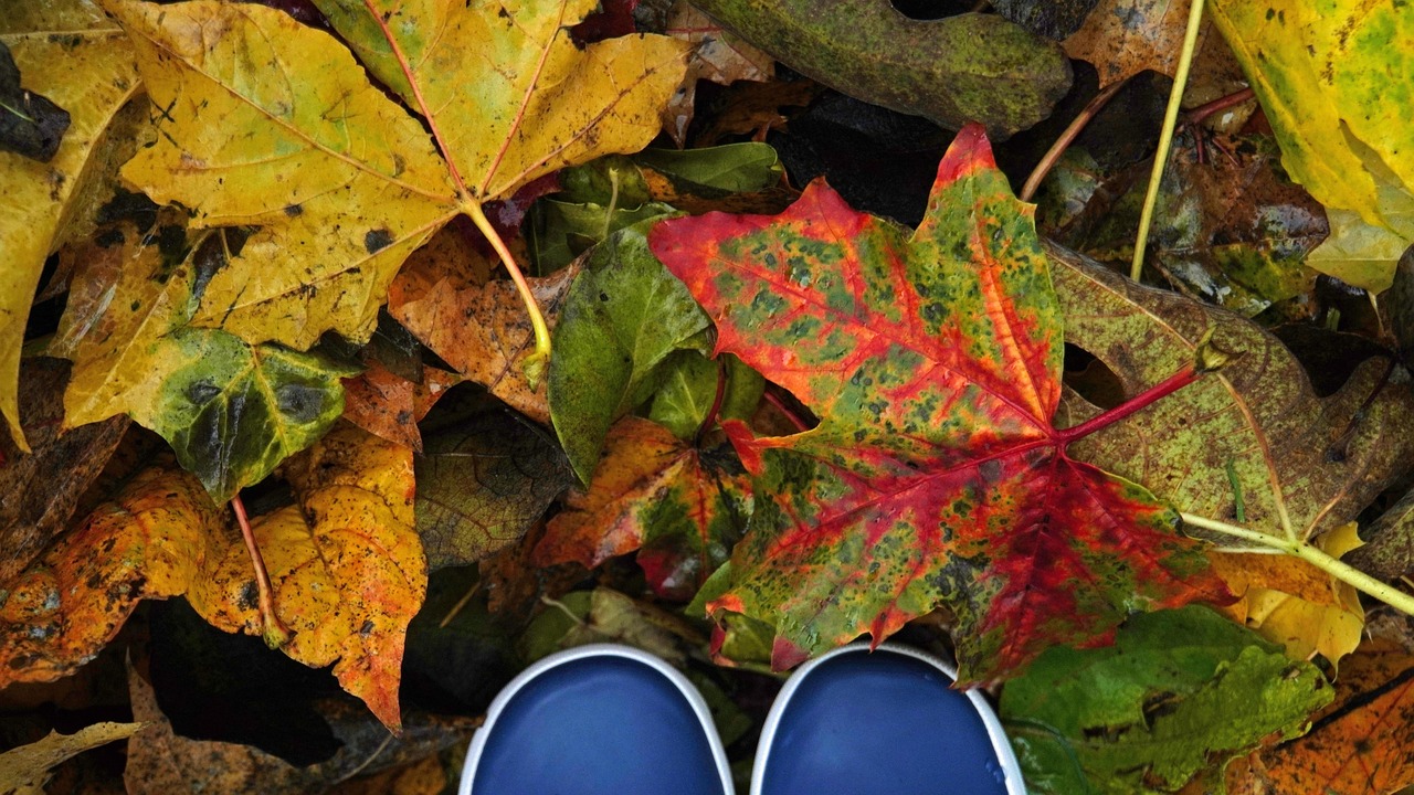 Ein Kind steht im Herbstlaub